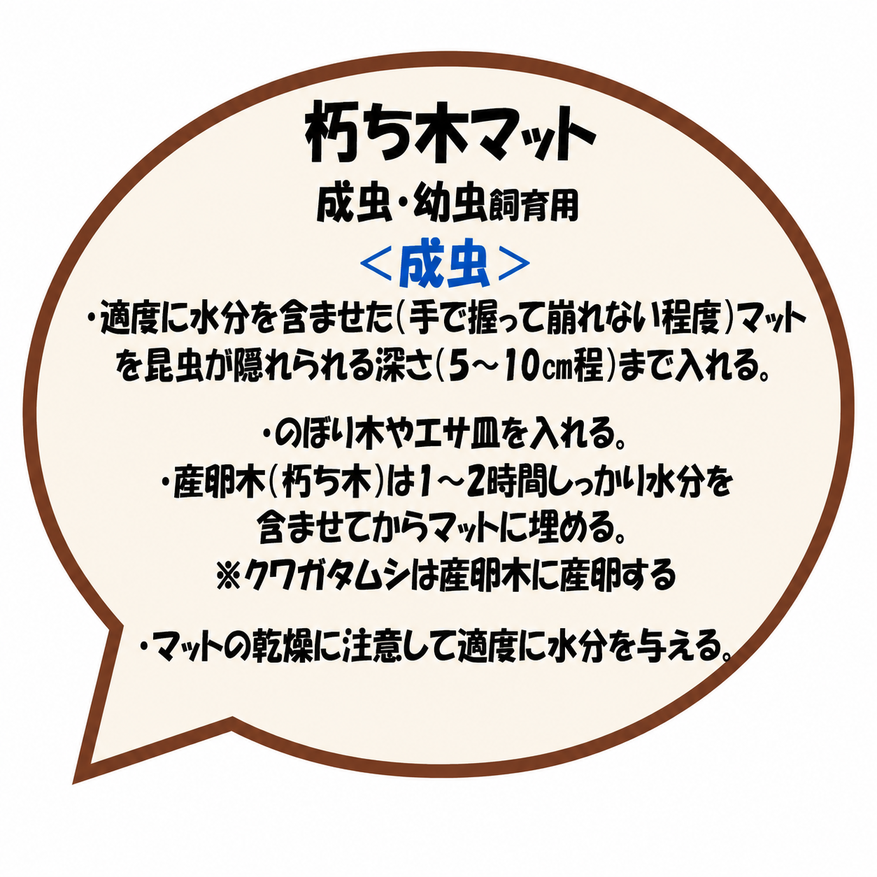 成虫飼育方法