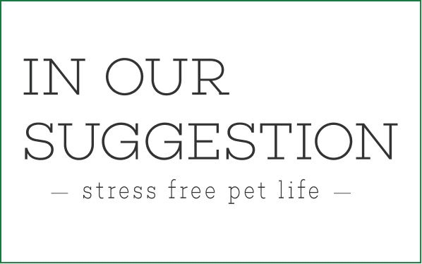 IN OUR SUGGESTION