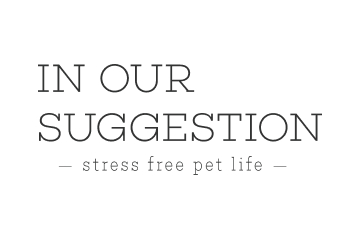 IN OUR SUGGESTION