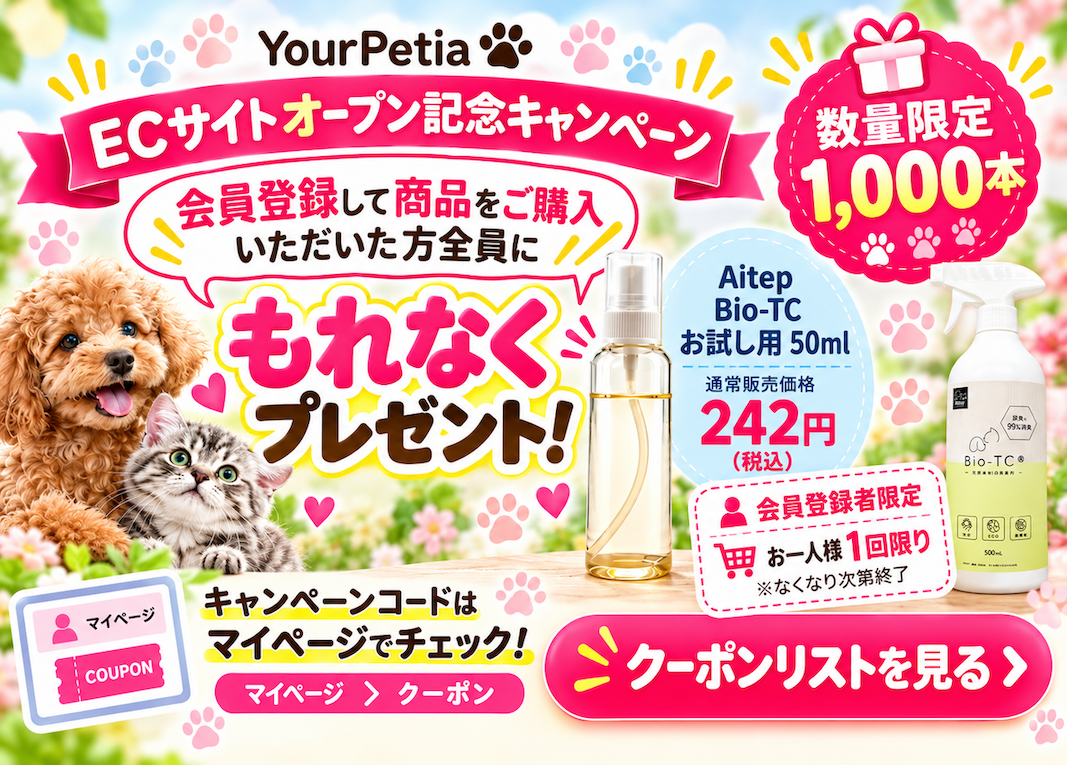 ECサイトオープンキャンペーン