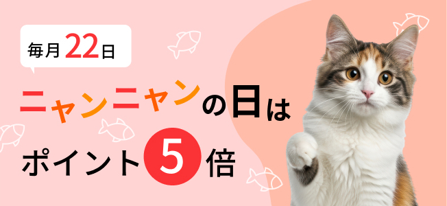 ニャンニャンの日