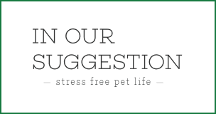 IN OUR SUGGESTION