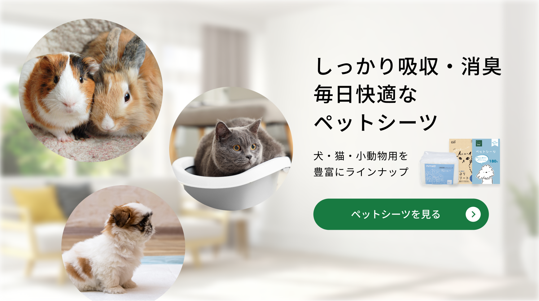 しっかり吸収・消臭 毎日快適なペットシーツ