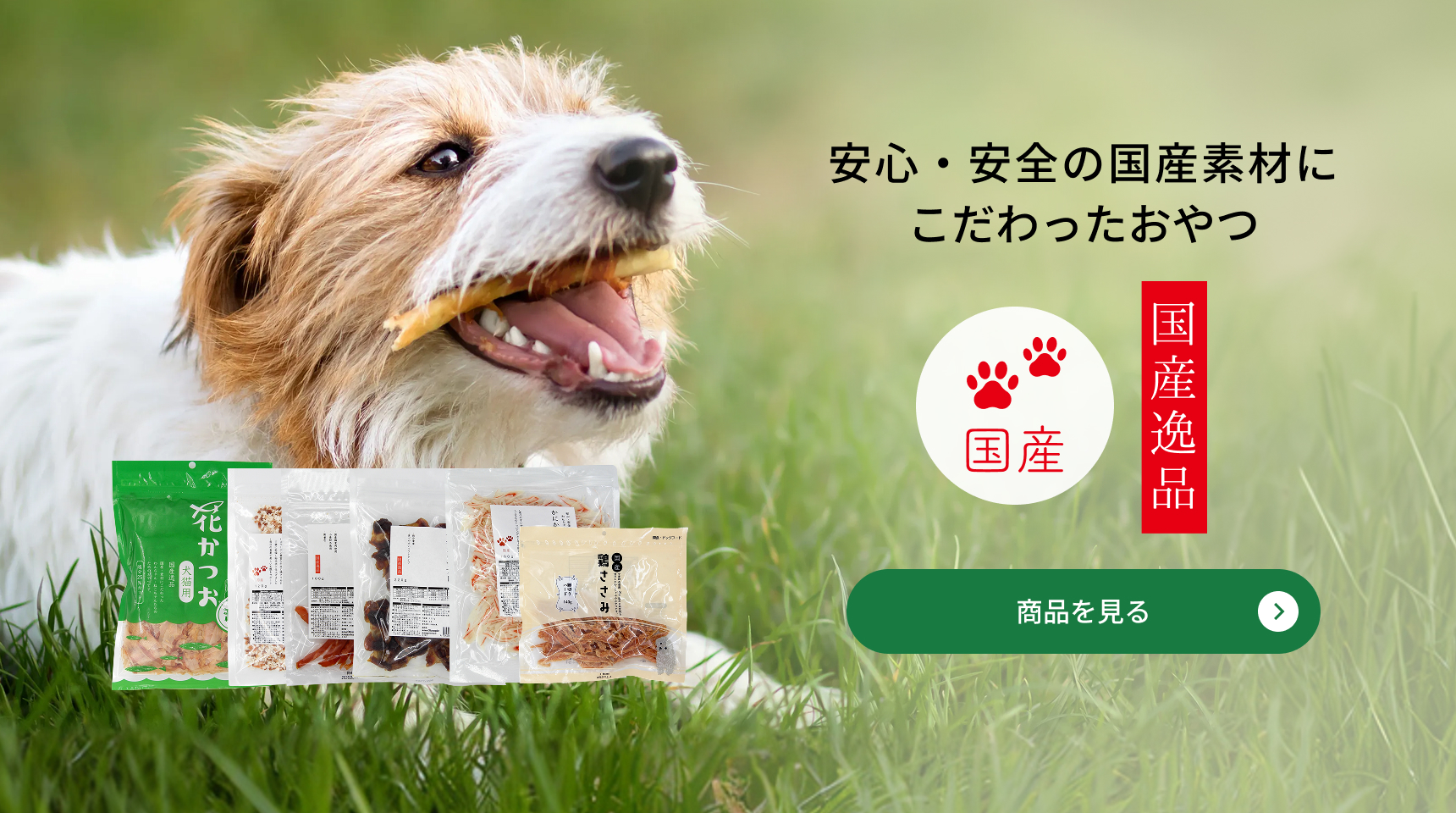ともに暮らすペットの未来を創る。ペットの楽しみと幸せ、飼い主さまの安心を支えるペットショップ。YourPetiaについて